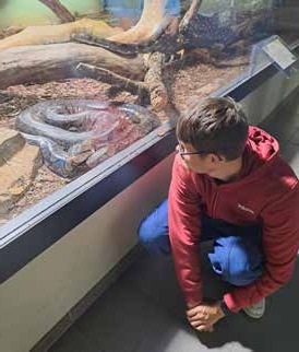 Ein junger Mann in roter Jacke hockt vor einem Terrarium und betrachtet eine Schlange hinter der Glasscheibe.